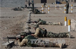 NATO tổ chức diễn tập quản lý thảm họa 